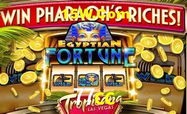 Provedores de Jogos 77cc